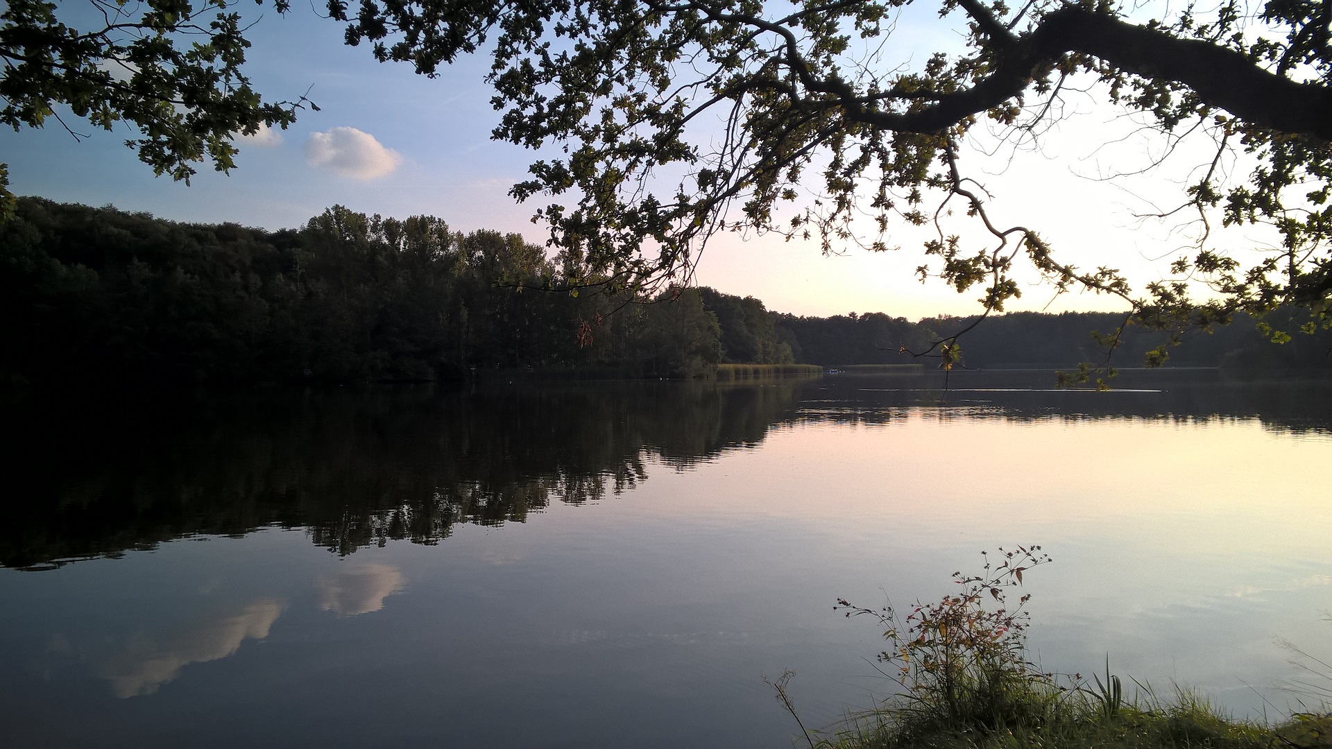 Jahresrückblick 2016